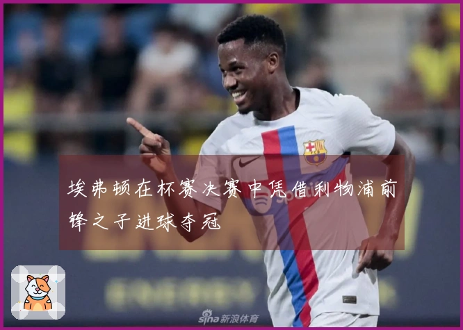 埃弗顿在杯赛决赛中凭借利物浦前锋之子进球夺冠