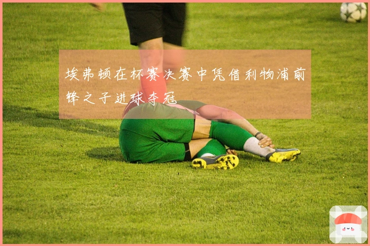 埃弗顿在杯赛决赛中凭借利物浦前锋之子进球夺冠